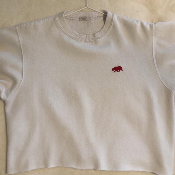 Brandy Melville Sweaters - BRANDY MELVILLE CROPPED SWEATER